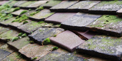 Langney Village roof repair costs